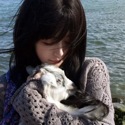 狼犬历险记